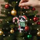 Tuxedo Cat Ornament Hugging Candy Cane 2D Flat Acrylic Ornament - Christmas Tree Decoration, Black and White Cat Holiday Tree Decoration for Pet Lovers 2025