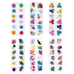 Dried Flowers for Resin Craft Nail Art Mix Small Mini Dry Flowers (Pack of 6 Boxes, About 260 PCS)