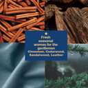 Advent Calendar 2025 Rinse & Robust 24 Days Christmas Gift Set for Men Holiday Gift Baskets for Men with Beard Care Skincare Beauty Advent Calendar, Happy New Year Countdown Calendar Gift Set (Blue)