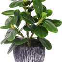 Artificial Potted Plant, Real Touch Artificial Oak Leaves Waterproof Fake Plants Indoor Outdoor, Eco Friendly Modern Concrete Greenery Plant Pots for Office Home Kitchen Shelf Farmhouse Decor