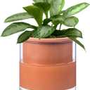 African Violet Pots, 6 Inch Self Watering Pots for Indoor Plants, Terracotta Clay Pot with Glass Reservoir, Easy Plant Self Watering Planter,Plant Pot with Absorbent Inner Pot for Flower