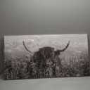 Highland Cow Wall Art - Black and White Farmhouse Decor Canvas Printed Country Cow Pictures Western Rustic Modern Artwork Decorations for Bedroom Office Living Room Framed Ready to Hang 20" x 40"