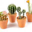 Mini Artificial Cactus Plants in Terracotta Pots 4 Pcs Potted Faux Succulents in Pots Fake Potted Plants Cactus Decor Small Artificial Plants for Home Decor Indoor Office Desk Tabletop Shelf
