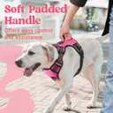 rabbitgoo Dog Harness for Large Dogs, No Pull Pet Harness with Soft Padded Handle, Adjustable Reflective Vest with 3 Buckles, Easy Walking Harness with 2 Leash Clips, Pink, L