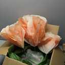 3pcs Giant Artificial Flower Poppy Free Standing 4.6ft / 5.2ft /5.9 ft, Adjustable for Wedding Decoration Reception, Background Backdrop Photo Props, Shop Window Champagne