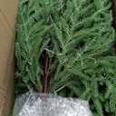 4FT Pre-Lit Artificial Norfolk Pine Christmas Tree  Realistic Potted Tree with 100 LED Lights & 8-Function Battery Box, Pre-Assembled Faux Holiday Dcor for Indoor Use (2)