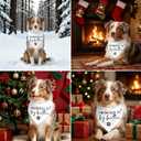 2 Pack Promoted to Big Brother Dog Bandana Baby Announcement Dogs Bandanas White Pregnancy Announcement Big Brother Bandana for Dog Pet Scarf Accessories for Pet Dog Lovers Gifts