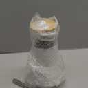 Tronco 20 oz Vacuum Insulated Glass Tumbler with Lid and Straw - Keeps Drinks Cold for 12 Hrs - Reusable Glass Cup for Iced Coffee, Smoothies & Boba - Sweat & BPA Free, Dishwasher Safe, Fit Car Holder (White)