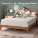 Zinus 12 Inch Queen Green Tea Memory Foam Mattress, Medium Firm Feel
Pressure-Relieving Comfort & Full-Body Support, Naturally Fresh, CertiPUR-US & OEKO-TEX Certified Safe Materials