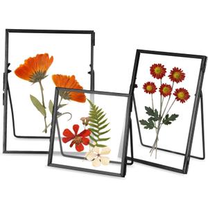 Glass Frame for Pressed Flowers Handmade, Double Glass Floating Picture Frame Set, Brass Photo Frame, Standing Frame Set, Small Picture Frame, Gifts for Family, 44", 46", 57", Black