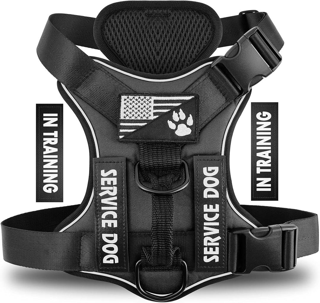 Demigreat Service Dog Harness, Reflective Dog Vest Harness with 5 PCS Patches, Adjustable Soft Oxford Pet Harness, Inner Layer Mesh, Easy to Control for Dogs (Medium (Pack of 1), Black)