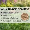 Jonathan Green (10514) Black Beauty Heat & Drought Resistant Grass Seed - Cool Season Lawn Seed (3 lb)