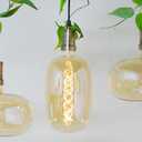 Oversized Decorative LED Light Bulb 6W 500LM E26 Large Fancy Edison Bulbs 60W Incandescent Dimmable 2200k Warm White Pendant Lighting for Bedroom Dining Living Room Bar1 Pack (PK215AM)
