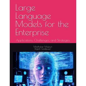 Large Language Models for the Enterprise: Applications, Challenges, and Strategies