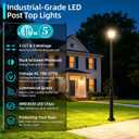 150W LED Post Top Light with Dusk to Dawn Photocell, 12.6 inch Post Lights