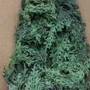 3FT Real Touch Cedar Topiary Trees for Front Porch Decor, Artificial Shrubs Faux Plants Potted UV Resistant Fake Greenery for Outdoor Indoor Door Garden Farmhouse Home Decoration (Set of 2)