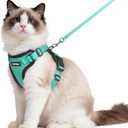 rabbitgoo Cat Harness and Leash for Walking, Escape Proof Soft Adjustable Vest Harnesses for Cats, Easy Control Breathable Reflective Strips Jacket, Emerald, M