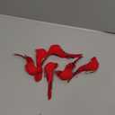 12 Pcs Cardinal Birds for Crafts, Christmas Artificial Red Birds Clip, Mini Cardinal Clip On Christmas Tree Ornaments Artificial Red Bird Decoration Bird Craft Ornament