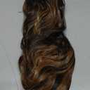 FESHFEN Ponytail Extensions - Drawstring Ponytails Hair Extension Long Curly Wavy Hair Piece Synthetic Pony Tail Hairpieces for Women, Black Brown Mix Golden Blond 18 inch