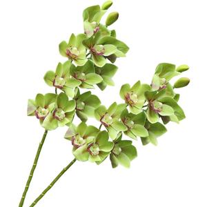 XZJMY 28.4" Artificial Phalaenopsis Flowers,Latex Phalaenopsis Branches,3D Faux Cymbidium Flowers 10 Large Petals Orchids for Home Dcor (2, Green)