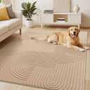 Soalmost 5x7 Washable Area Rug with High-Low Pile for Living Room, Brown