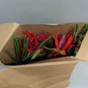 Hanaive 20 Pcs Bird of Paradise Artificial Plant 24 Inches Hawaiian Tropical Flowers Fake Rubber Strelitzia Faux Flowers Bouquet for Home Garden Office Wedding Indoor Outside Party Decor DIY (Pink)