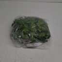 KASZOO 84Ft 12 Pack Artificial Ivy Garland Fake Plants, Vine Hanging Garland with CE Certified 80 LED String Light, Hanging for Home Bedroom Garden Party Wedding Wall Room Decor, Green