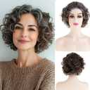 Short Brown Curly Wigs for Women Synthetic Mixed Grey Big Curly Bob Wig Modern Cosplay Hair