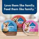 Blue Buffalo Delights Natural Adult Small Breed Wet Dog Food, Variety Pack, Made with Natural Ingredients, Filet Mignon & New York Strip Recipe in Hearty Gravy, 3.5-oz. Cups (12 Count, 6 of Each) (EXP 03/12/26)