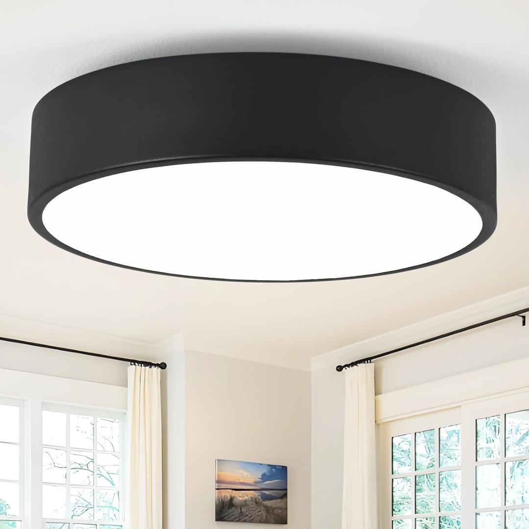 Modern Flush Mount 2-Light Round Black Ceiling Light Fixture, Minimalistic Acrylic Shade Lighting for Bedroom, Laundry Room, Foyer, Hallway (11.8")