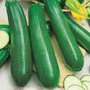 8 x 30+ Seeds Zucchini Sungreen - Vegetable Green