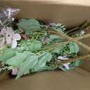 Tigeen Artificial Flowers Artificial Peonies Silk Flowers Faux Peony Fake Peony Silk Hydrangea Bouquet for Wedding Table Centerpiece Floral Vase Decor(Light Pink,12 Bundles)