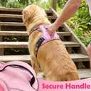 Funfox Dog Harness Medium No Pull, Adjustable 2 Clips Anti-Pull Vest with Practical Handle, Breathable Padded Pet Harness Designed for Small/Large Breeds, Reflective Training Walking Pink M