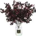 Hananona 10 Pcs Babys Breath Artificial Flowers Black Fake Silk Flowers for Halloween Home Decor Floral Arrangement Table Centerpieces (10, Black)