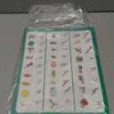 Basic Phonics Charts - Abeka 1st 2nd and 3rd Grade 1, 2, and 3 Phonics Reading Program Visual Aid