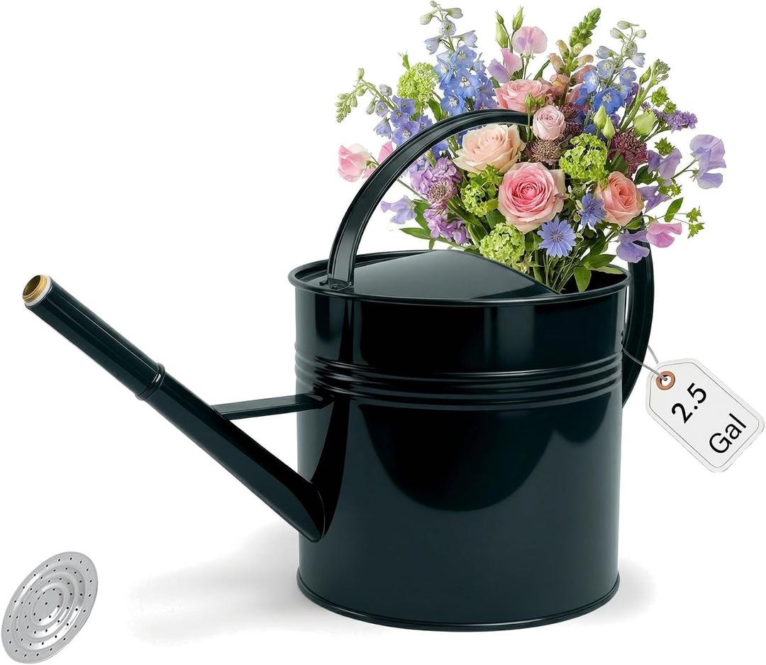 2.5-Gallon Metal Watering Can,9.5L Large Galvanized Watering Can for Outdoor Plants with Removable Long Spout Silver Handle