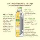 Babo Botanicals Sheer Zinc Continuous Sunscreen Spray SPF30 - Natural Zinc Oxide - Extra Sensitive Skin - Water Resistant - Vegan - Fragrance-Free - Air-Powered Spray - For all ages