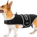 Dog Back Brace for IVDD and Slipped Disc with Metal Stays,L