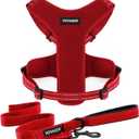Air Frontier Mesh Dog Harness with and Reflective Dog Leash Set, Reflective Stitching, and Lightweight Breathable No-Pull Design, Adjustable Neck and Chest Straps for Small to Large Breeds - RDW, L