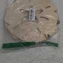 Briwooody 5 Pcs Sand Dollar Wall Decor Beach Coastal Wall Art 8" and 10" Wood Ocean Sand Dollars Decor Coastal Art for Home Bathroom Decoration