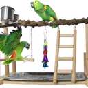 PINVNBY Bird Playground Birdcage Playstand Pet Bird Perch Platform Stand Parrot Play Gym Parakeet Cage Decor Budgie Perch Stand with Feeder Seed Cups Ladder Chew Toys for Small Animals Parrot Parakeet