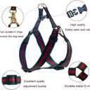 Premium and Stylish Dog Collar Harness and Leash, Soft Comfortable，Chest Adjustable Pet Harness, Luxury Fashion Dog Harness Leashes Set Gift for Puppy Small Dogs