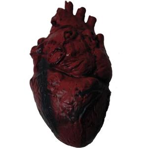 Fake Bloody Heart Prop Halloween Decoration, Realistic Human Body Part for Prank, Spooky, Creepy Decoration (Pkg of 1)