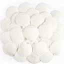 Jangostor 20 PCS Scallop Shells Natural Seashell, 2.3" to 3.5" White Scallop Shells Large Seashells for Crafts Wedding Decor Beach Theme Party, Fish Tank and Vase Filler