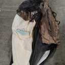 COBIZI 6x6 Pop up Gazebo Tent, Ez up Waterproof Screen Tent Screen House, Portable Outdoor Canopy Sun Shelter with Carry Bag & Ground Stakes for Camping, Garden and Picnics, Brown(Upgraded 2.0)