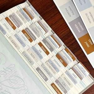 5 x Thinkor Reposition Laminated Bible Tabs, Large Print Stickers, Easy to Read & Apply Bible Tabs for Women & Man (Winter Snow)