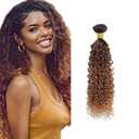 T1B430 Curly Wave Human Hair Bundles Ombre Brown 10 Inch 3 Tone Brown 1 Bundles Human Hair Extensions 100 Gram Per Bundle Unprocessed Virgin Double Weft