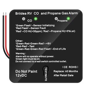 RV Carbon Monoxide & Propane Gas Alarm, Briidea Dual LP/CO Alarm, Separate LED Indicators, 100dB Loud, Early Warning Safety System, 12 VDC