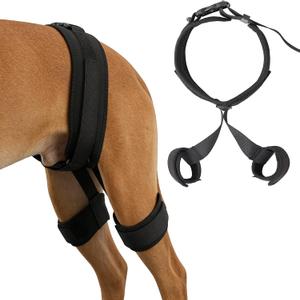 Dog Hip Brace for Hip Dysplasia - Adjustable Support Brace for Dog Arthritis & Joint Stability, Relieves Pain & Improves Mobility, Quick-Adjust Buckles for Secure Fit, (Black, Small)