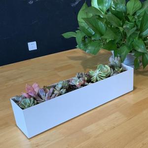 Modern 16" White Steel Trough Planter - Suitable for Indoor Use